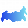 79 регинов